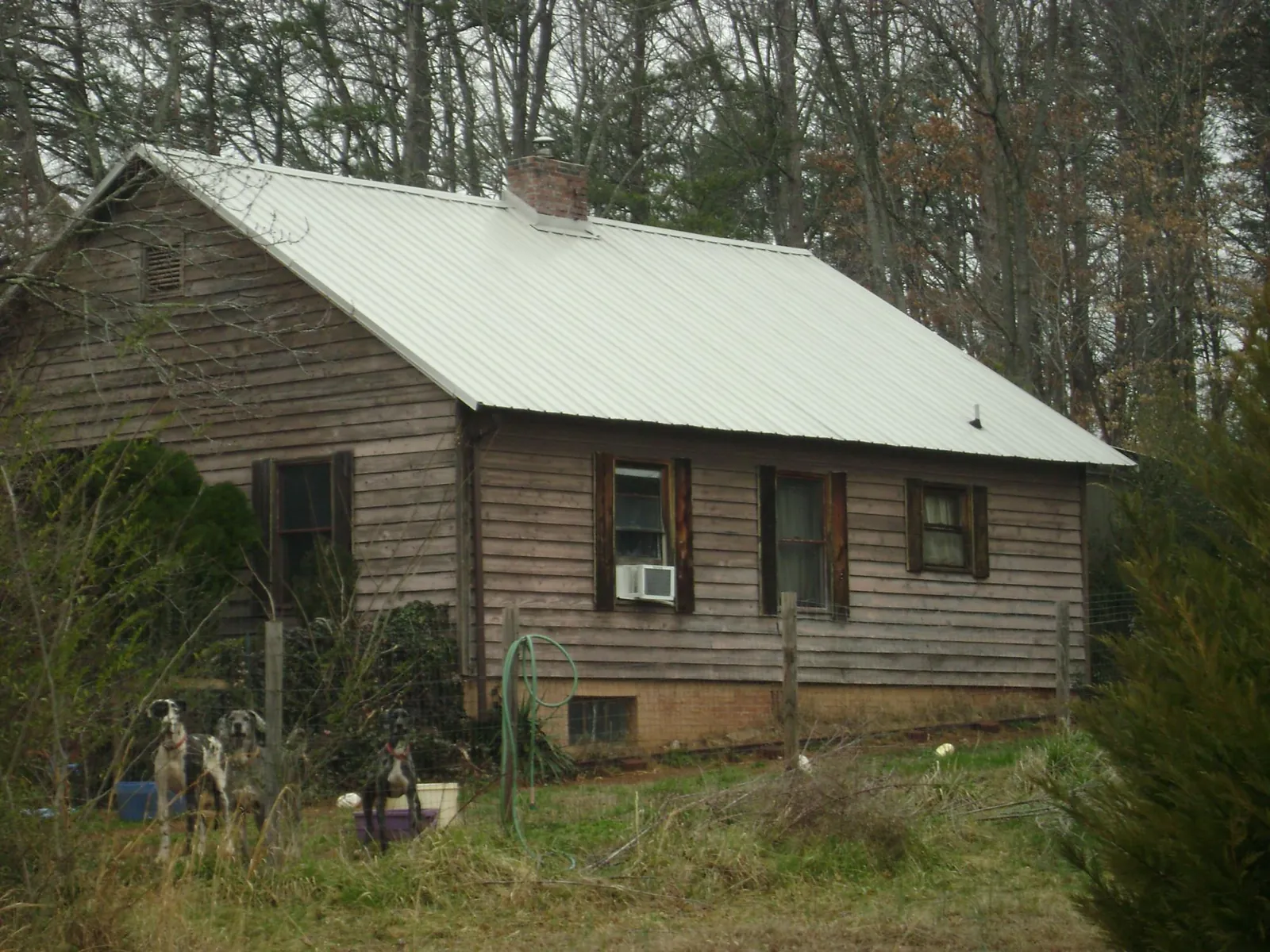White metal roof on an old wood sided farmhouse, from a Metal Roof Installation job in Sprague River